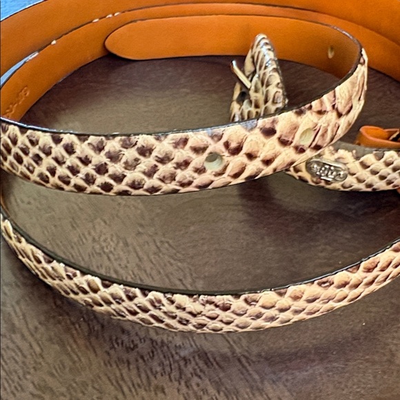 Lauren Ralph Lauren Python Snakeskin Belt - Picture 6 of 10